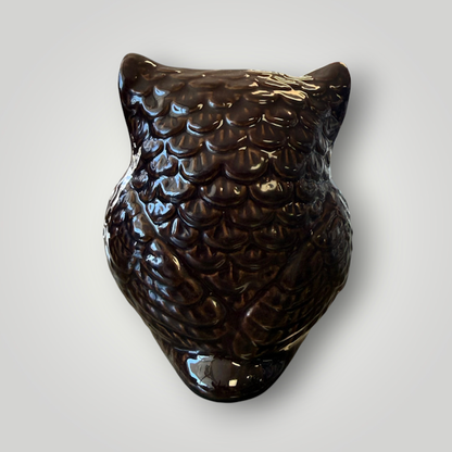 Vintage Glazed Owl Figurine 🦉🤎